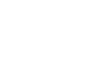 LOGO GRAVITY FUN Blanc